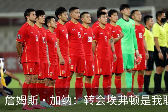 詹姆斯·加纳：转会埃弗顿是我职业生涯的明智之选